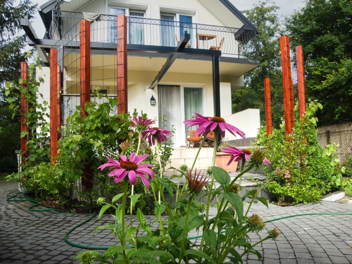 Villa Hasaba Krościenko Extérieur photo