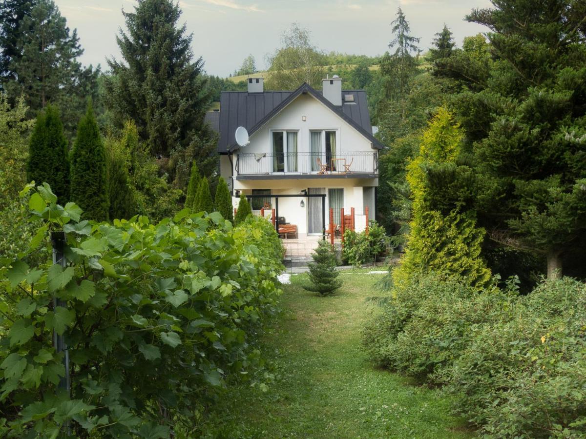 Villa Hasaba Krościenko Extérieur photo